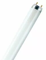 Tube fluorescent Lumilux T8 - G13