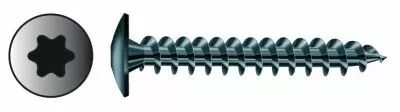 Empreinte Torx T 30 - acier zingu noir